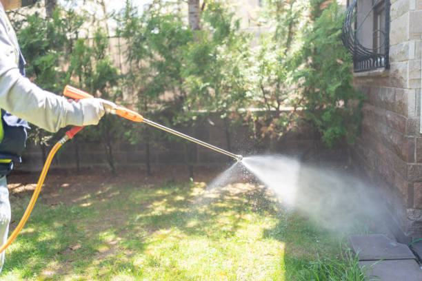 Best Rat Extermination Near Me  in Mars Hill, NC